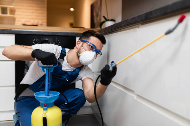 Best Flea Control Services  in Buffalo, WY