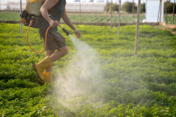 Best Exterminator Services  in Buffalo, WY