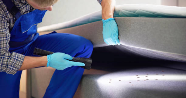 Best Bed Bug Extermination  in Buffalo, WY