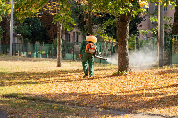 Best Mosquito Control Services  in Buffalo, WY